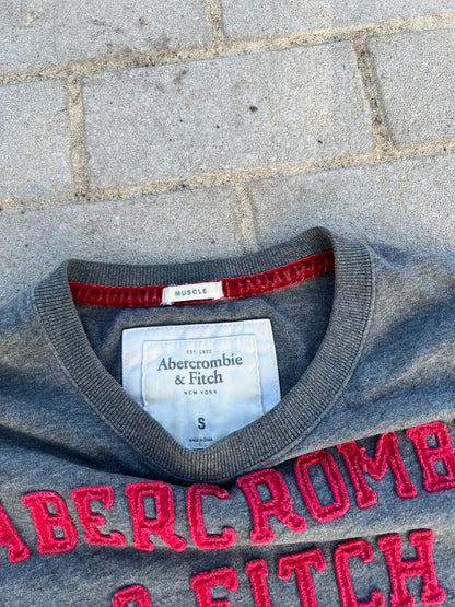 Abercrombie & Fitch crest spellout muscle fit tee S