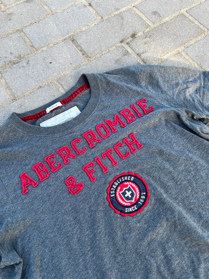 Abercrombie & Fitch crest spellout muscle fit tee S