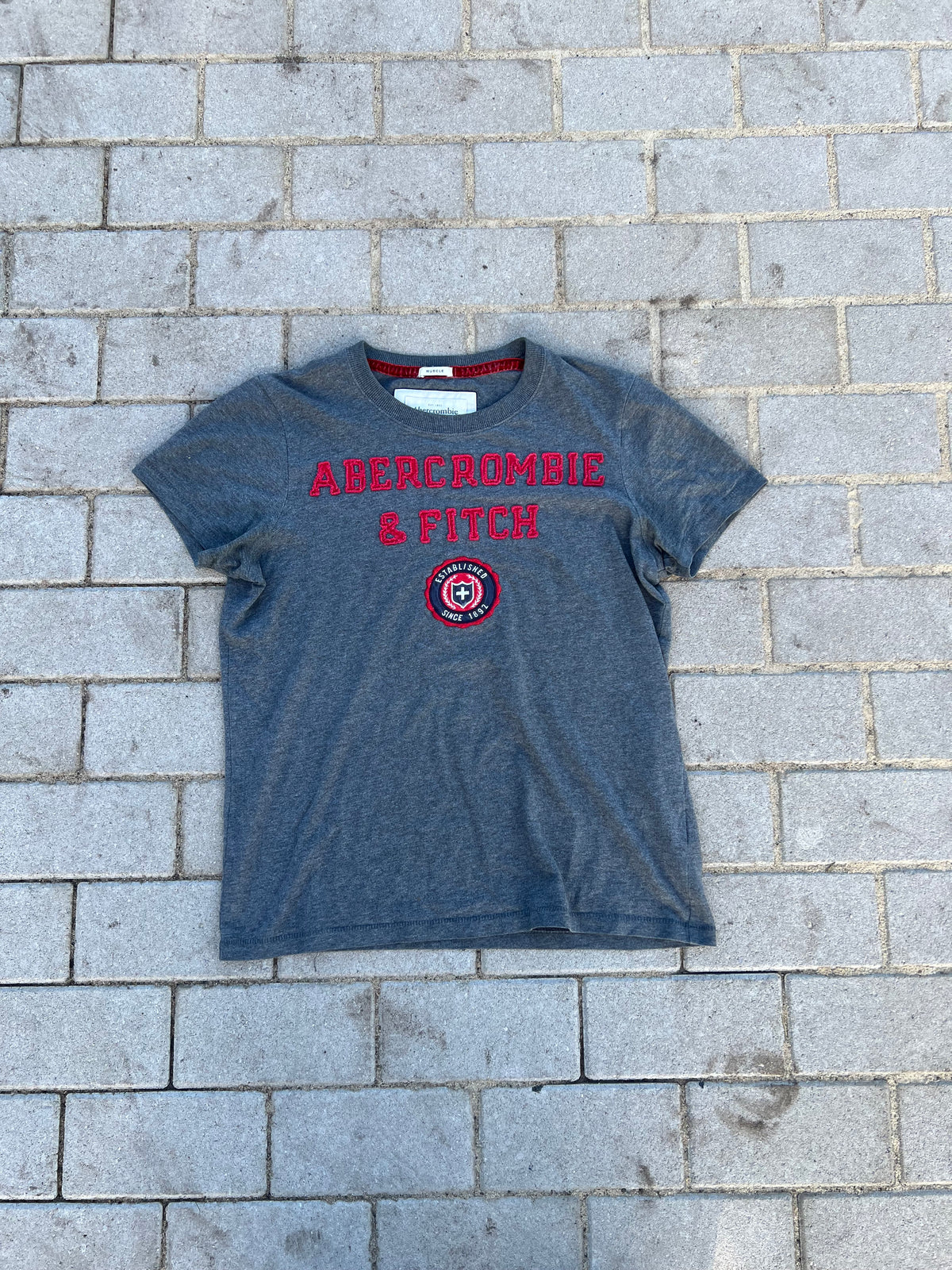 Abercrombie & Fitch crest spellout muscle fit tee S